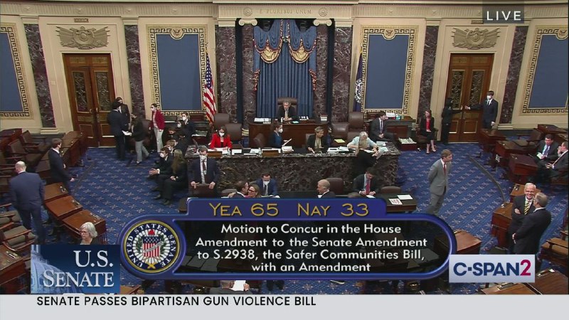周四，美国参议院以65-33通过了自1994年以来首个联邦层面的重大控枪法案