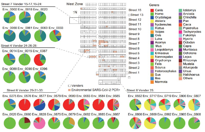 中疾控4月5日公布2020年1月华南海鲜市场环境样本的宏基因组原始数据，并在Nature发表经评议的分析文章