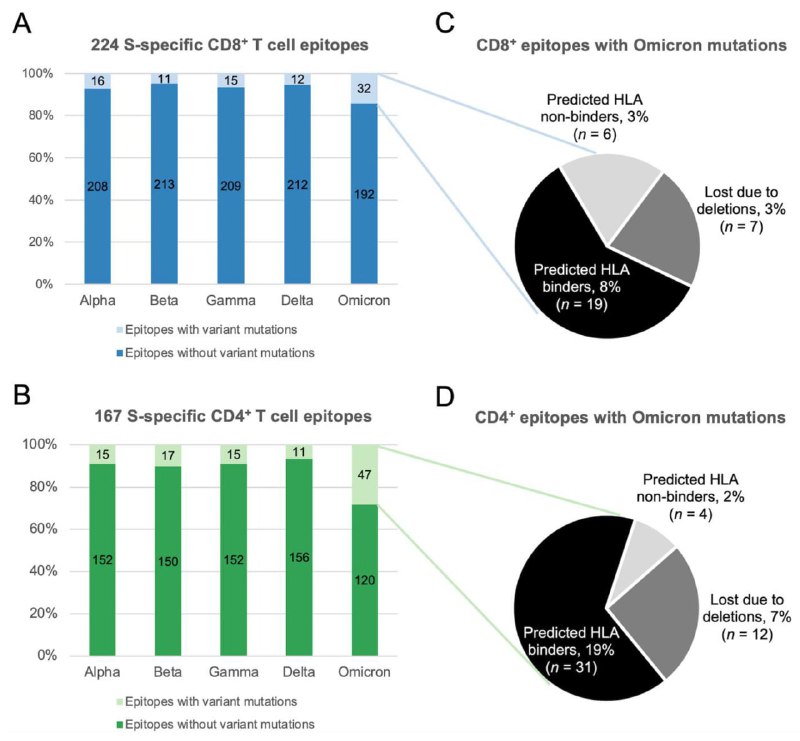 来自香港科技大学与墨尔本大学的团队比对新型冠状病毒奥密克戎变异株的变异情况与已知的T细胞抗原表位，初步分析认为康复/完成疫苗接种者的T细胞仍能对新毒株产生较强的免疫反应，因此虽然不能阻断感染与传播（抗体免疫出现逃逸），但仍应能有效防止重症
