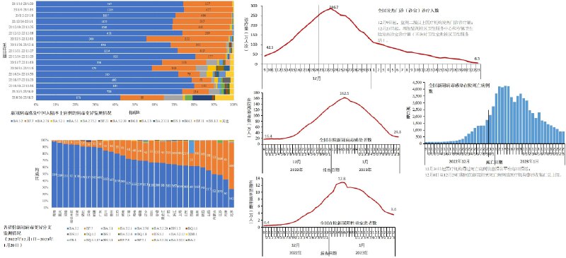 中国公布12月9日以来逐日的新冠住院、重症、死亡人数，以及12月以来分省的毒株测序情况