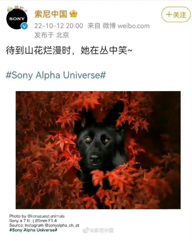 新浪微博5日公告，禁言北京大学中文系教授孔庆东、凤凰卫视执行台长刘春等人，理由是攻击吴尊友等防疫专家学者