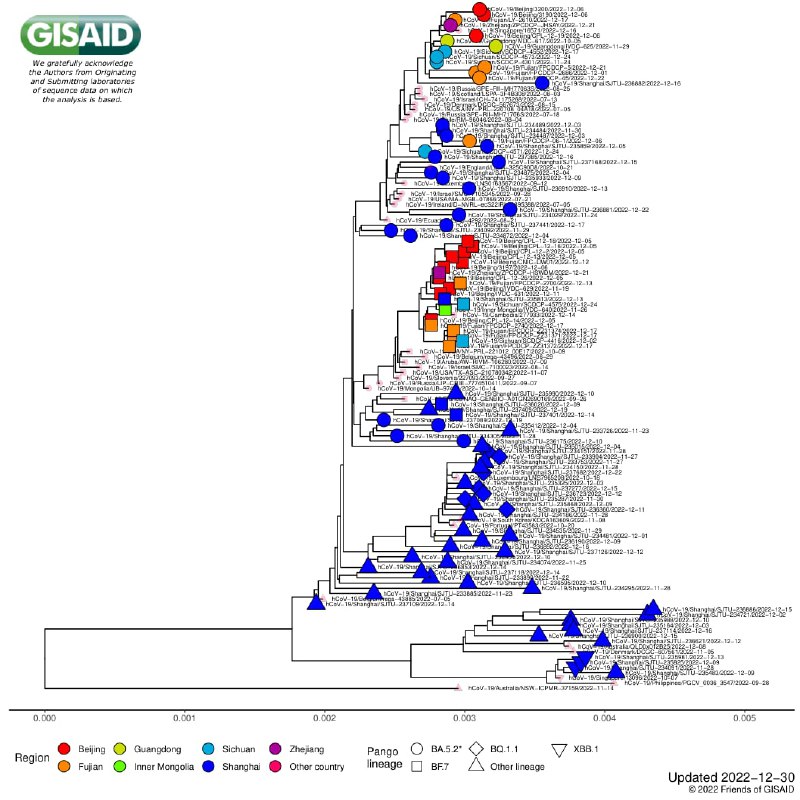 浙江、上海12月31日上传一批新冠毒株测序结果
