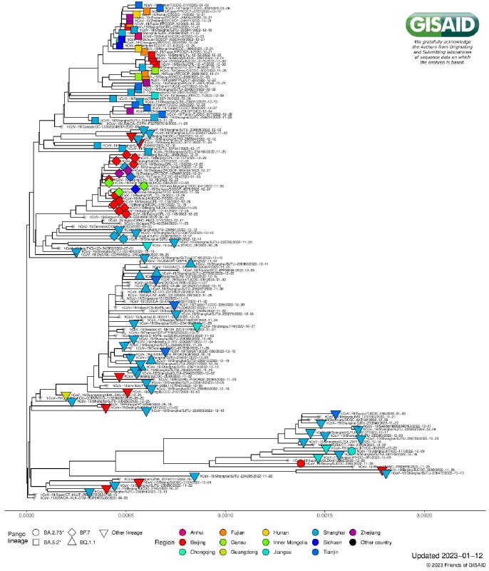 世卫总干事谭德赛1月14日同中国卫健委主任马晓伟通话，赞赏中方当日发布全国门急诊、住院、重症、死亡的统计数，同时请求提供分省的统计数字、以及希望今后继续发布数字；希望中国继续公开测序数据；重申中国应执行新冠《溯源报告》中详述的建议，在新冠溯源上进一步提供合作与透明度