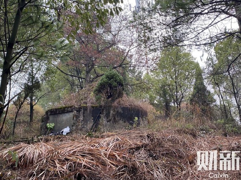 胡鑫宇家人29日下午决定进行尸检以查清真相