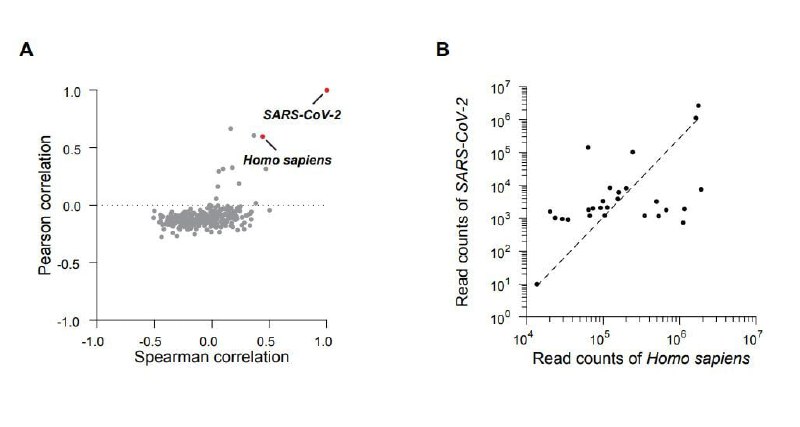 中疾控3月9日向GISAID上传了2020年1月武汉华南海鲜市场采检动物拭子和环境样本的原始数据，但很快又撤下