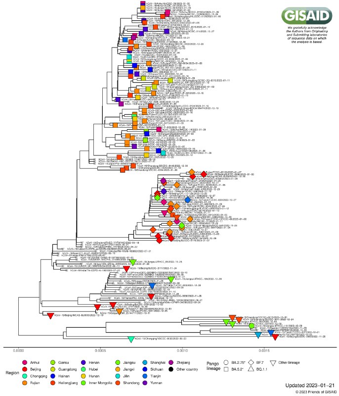中国本周再上传一大批新冠病毒测序数据，是北京（336件）天津（28件）吉林（11件）黑龙江（117件）浙江（20件）安徽（187件）江西（147件）福建（285件）山东（558件）河南（105件）湖北（1件）广东（112件）海南（46件）重庆（1件）四川（58件）云南（5件）
