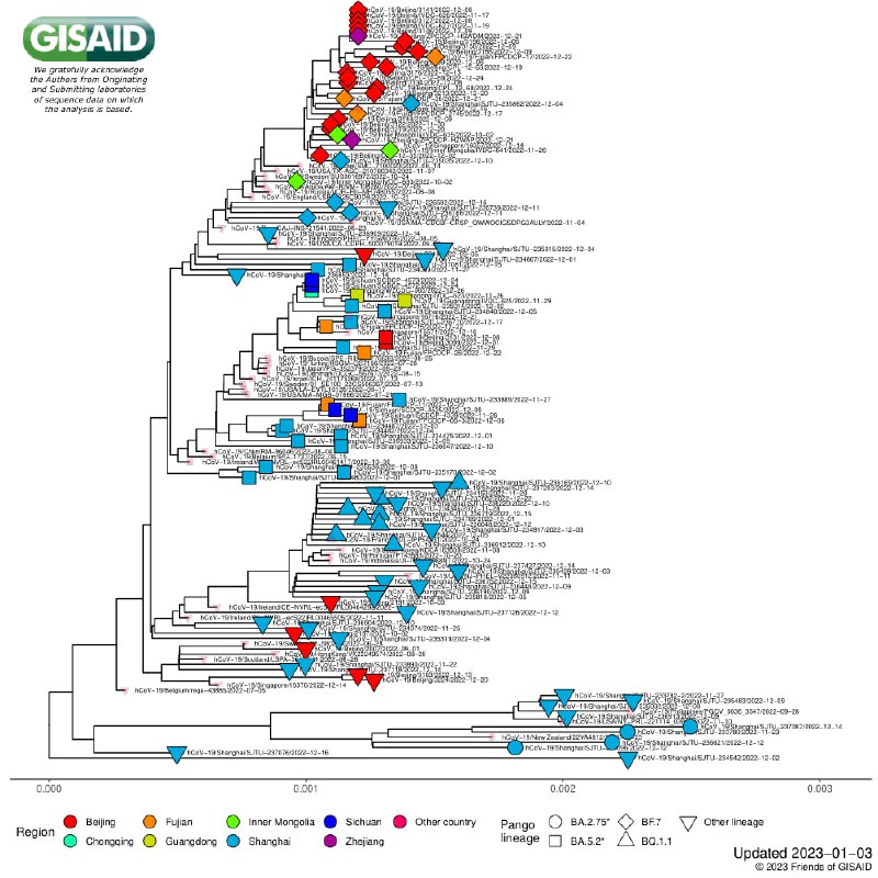 世卫组织新冠病毒进化技术咨询小组（TAG-VE）1月3日同中疾控开视频会，听取毒株监测工作情况汇报：12月以来两千余件本土病例测序结果，97.5%属BF.7或其他BA.5.2，没有发现新的毒株亚系