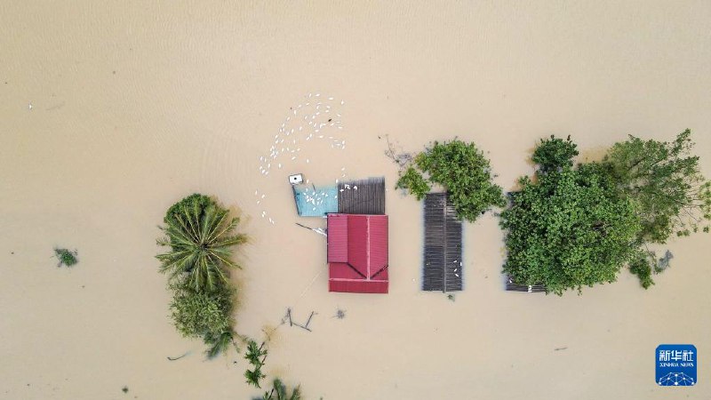 越南农业与农村发展部称，截至11日17时30分，台风“摩羯”及其后续影响在越南已造成179人死亡、145人失踪