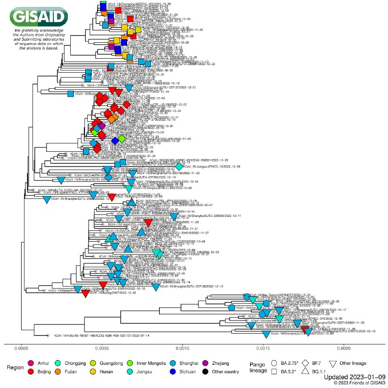 河南省卫健委通报，测算截至1月6日全省累计感染率为城市89.1%、农村88.9%，已度过疫情高峰；12月10日以来扩建床位，二级以上医院床位由393301增至1月7日的545119（现使用率94.95%），ICU重症床位由13635增至21771（现使用率82.35%）